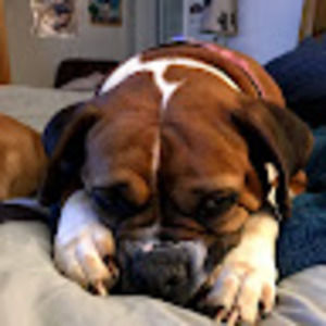 Meet your Posher, Carol